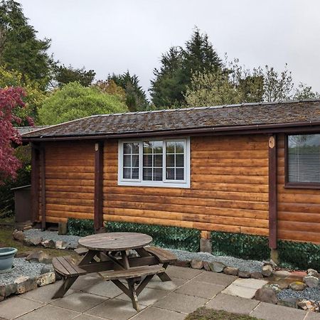Snowdonia Log Cabin 2 Villa Trawsfynydd ภายนอก รูปภาพ
